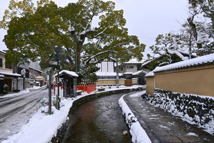 Shakya-cho, Kamigamo, Kita-ku, Kyoto, on a snowy morning