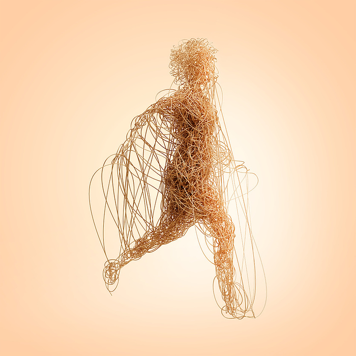 Woman made from wires, conceptual illustration Woman made from wires, conceptual illustration., by TUMEGGY SCIENCE PHOTO LIBRARY