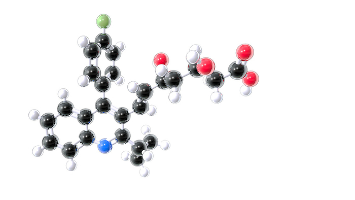 Pitavastatin drug, molecular model Pitavastatin drug, molecular model. This is a statin drug, used to treat the high cholesterol levels that cause heart and vascular disease. It inhibits HMG CoA reductase, a key enzyme for the synthesis of cholesterol in the liver. Atoms are represented as spheres and are colour coded: carbon  black , hydrogen  white , oxygen  red , nitrogen  blue  and fluorine  green ., by ANIMATE4.COM SCIENCE PHOTO LIBRARY