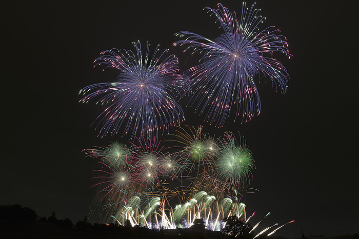 Ibaraki Prefecture Tonegawa Grand Fireworks Festival Starmine