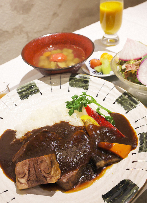 The 72nd ALSOK Cup Oushou Sen 7th Game, Round 4, Day 2 Lunch ordered by Zenji Hanyu 9 dan. Hayashi rice with tender tender beef tongue and cheeks from Japanese beef at SORANO HOTEL in Tachikawa, Tokyo at 0:47 p.m. on February 10, 2023  photo by Naoaki Hasegawa .