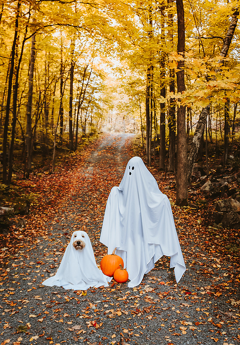 Child and dog dressed in ghost costumes for Hallowe'en outside.