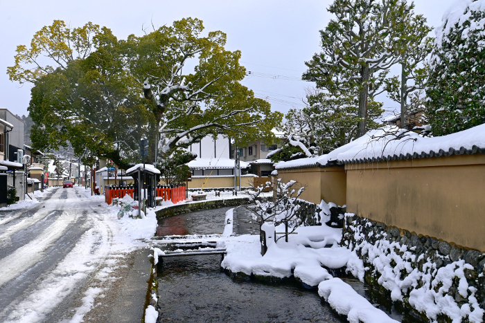 Snowy view of Shakemachi, Kamigamo, Kita-ku, Kyoto on a winter morning