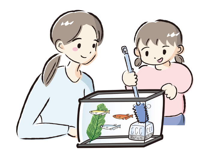 Parents and children taking care of killifish (cleaning the tank)