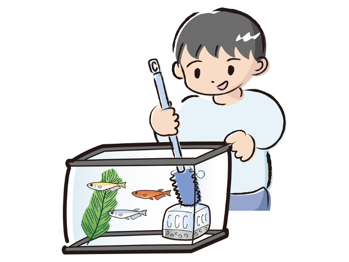 A boy taking care of a killifish (cleaning the tank)