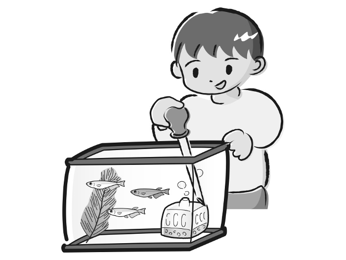 A boy taking care of a killifish (water change)