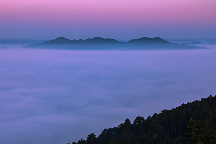 Sea of clouds in Kameoka Basin, Kyoto Prefecture Taken at Kameoka Fog Terrace. Gyoja Mountain in the distance.