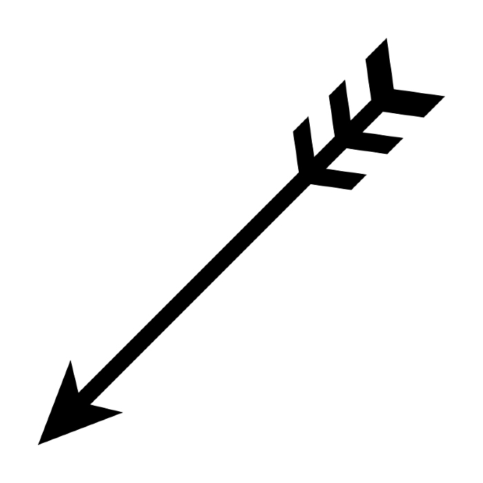 Arrow icon Monotone