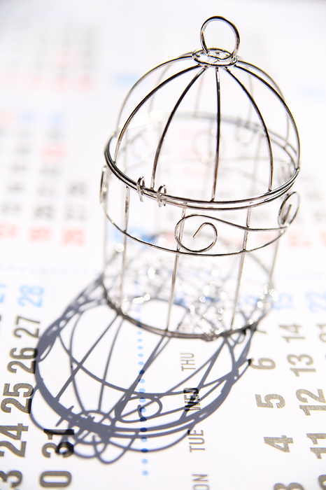 Birdcage made of wire