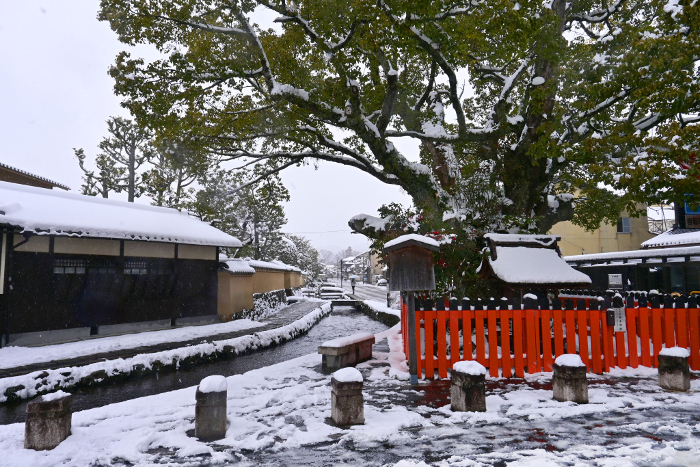 Kamigamo Shakemachi in Kita-ku, Kyoto on a snowy morning