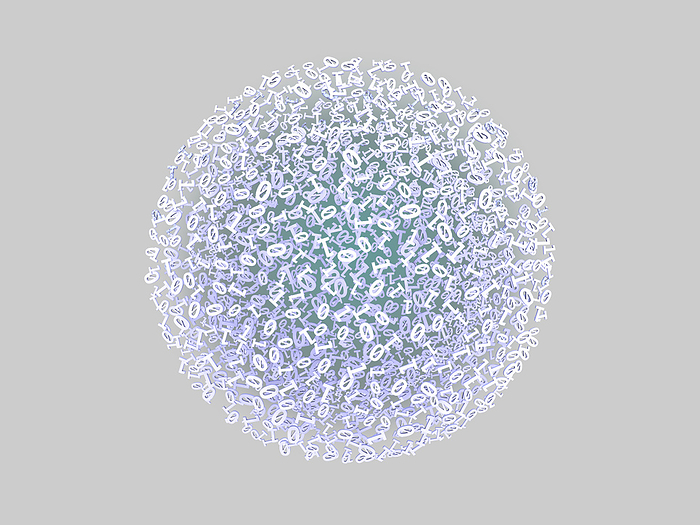 Sphere shaped by digital data