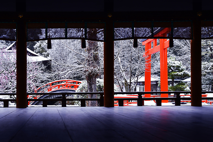 Shimogamo Jinja Shrine, Korin s plum blossoms, framed landscape, Kyoto shi, Kyoto Korin s plum tree, said to be the model for the National Treasure  Red and White Plum Blossoms  painted by Korin Ogata, framed scene with powdery snow falling