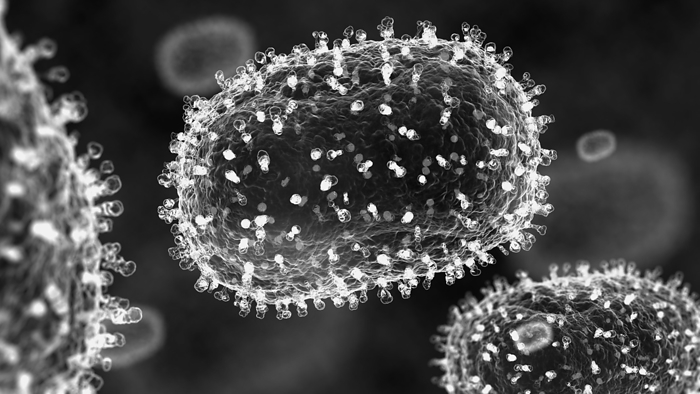 Mpox virus particles, illustration Mpox  previously monkeypox  virus particles, illustration., by SERGII IAREMENKO SCIENCE PHOTO LIBRARY