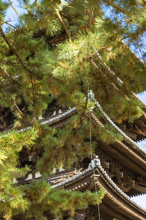 Five-story pagoda of Kofukuji Temple in Nara City, Nara Prefecture, Japan