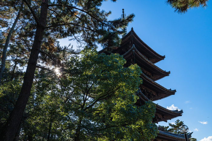 Five-story pagoda of Kofukuji Temple in Nara City, Nara Prefecture, Japan