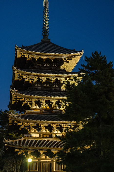 Five-story pagoda of Kofukuji Temple illuminated at night in Nara City, Nara Prefecture, Japan