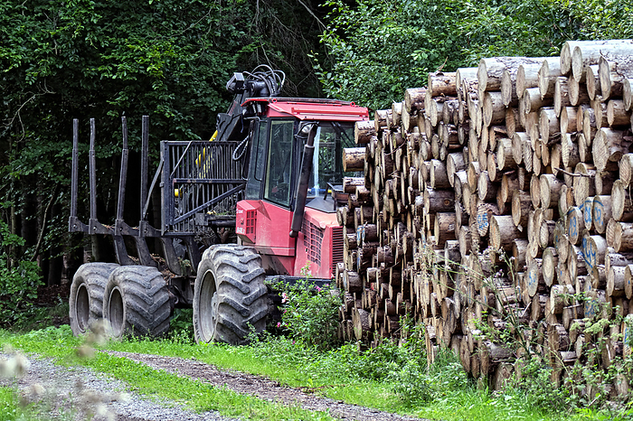 Logging work. Logging work.