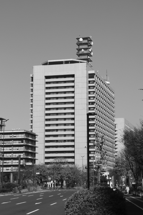 Ministry of Internal Affairs and Communications, National Police Agency, National Public Safety Commission (Central Joint Government Building No. 2) Monochrome