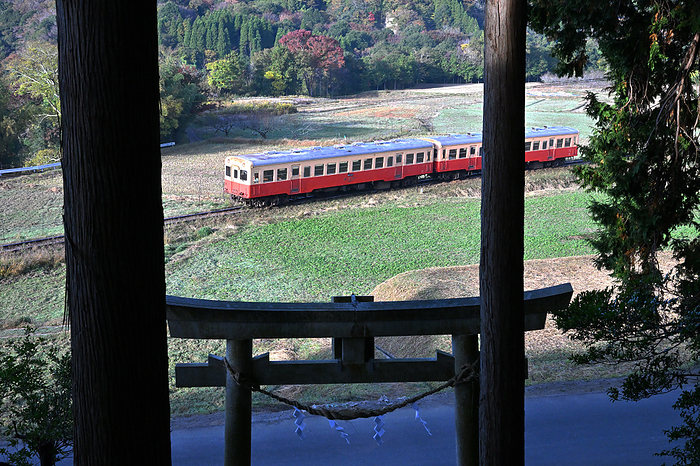 Chiba Prefecture Kominato Railway: A regular diesel train of the Kiha200 class curving around a curve and a torii gate. Taken at Yoro Gorge Station   Joso Okubo Station