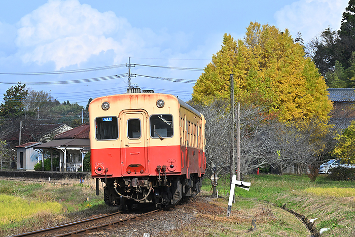 Chiba Prefecture Kominato Railway Type Kiha200 ordinary diesel train  trailing  rounding a curve in the countryside Taken at Joso Kubo Station   Joso Tsurumai Station