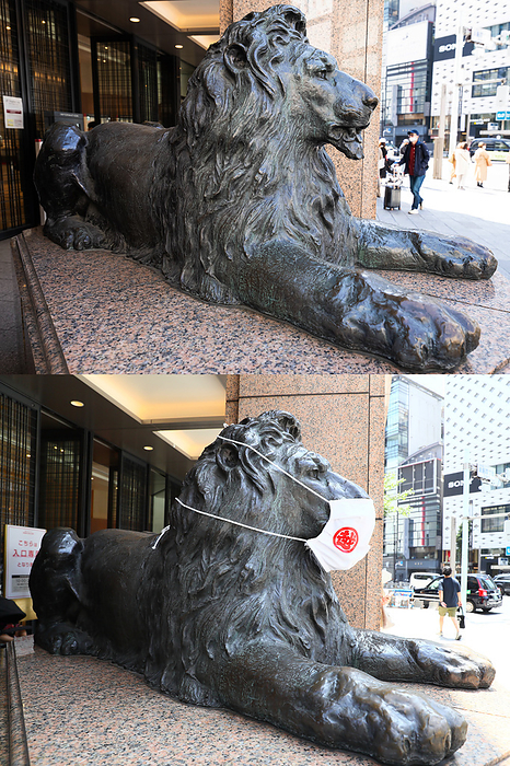 The Government of Japan changes mask s rule This combination picture of Lion statue in front of Mitsukoshi department store at Ginza created on March 15, 2023. The Government of Japan started leaving the decision on masking up to individuals from March 13, 2023, regarding the wearing of masks against COVID 19 infection.  top   The Lion statue is off a face mask on March 15, 2023.  Bottom  The Lion statue wears a face mask on August 6, 2020.  Photo by AFLO 