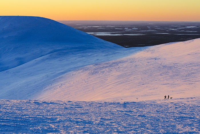 Two hikers   dog enjoying snowshoeing in snowy landscape at sunset, Pallas Yllastunturi National Park, Muonio, Lapland, Finland Two hikers and dog enjoying snowshoeing in snowy landscape at sunset, Pallas Yllastunturi National Park, Muonio, Lapland, Finland, Europe, by Roberto Moiola