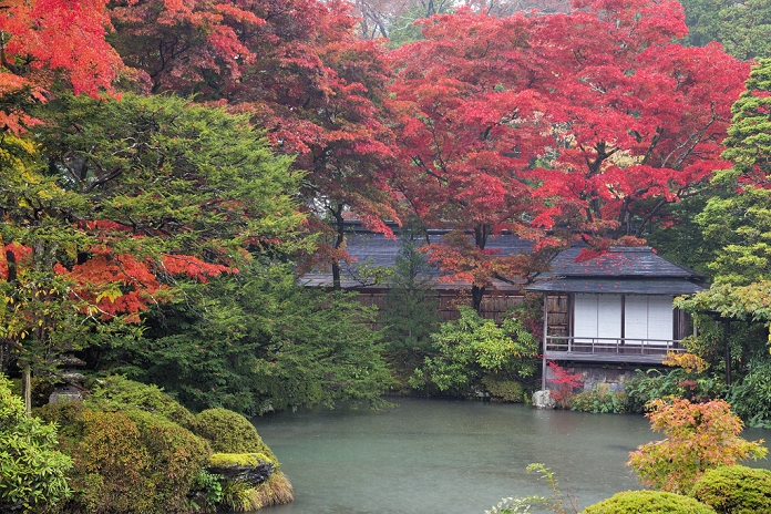 Shoyoen in autumn at Rinnoji Temple, Nikko, Tochigi