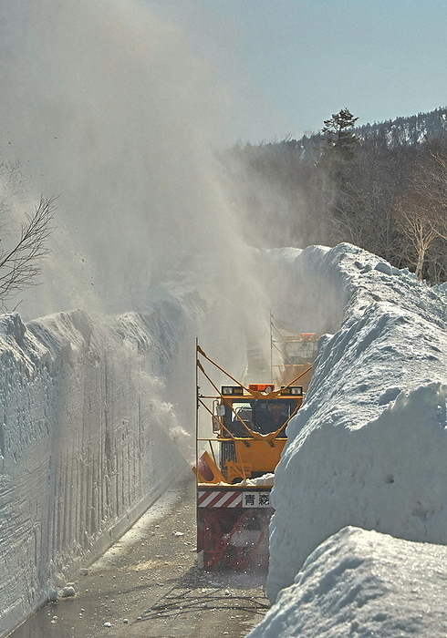 Rotary trucks are clearing snow for the opening of the  Snow Corridor. A rotary truck clears snow for the opening of the  Snow Corridor  in Sukenyu, Aomori City, March 15, 2023.