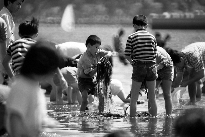 Day 2 of Golden Week Children picking seaweed in a park at the sea in Kanazawa Ward, Yokohama. On the 29th, the second day of Golden Week, families and groups of young people took to the streets at various holiday spots in the archipelago. At the Sea Park in Kanazawa Ward, Yokohama City, about 25,000 people gathered at low tide around 1:45 p.m., thanks in part to the fine weather. The one kilometer stretch of man made beach was crowded with families enjoying ebb tide picking with large buckets in their hands. A child gathers seaweed at Sea Park in Kanazawa Ward, Yokohama, Kanagawa Prefecture, April 29, 1990  photo by Takuma Nakamura .