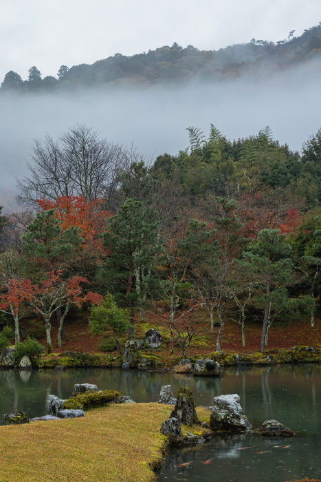 Arashiyama with autumn leaves and rain haze in Sogenike Garden at Tenryuji Temple in Kyoto, Japan