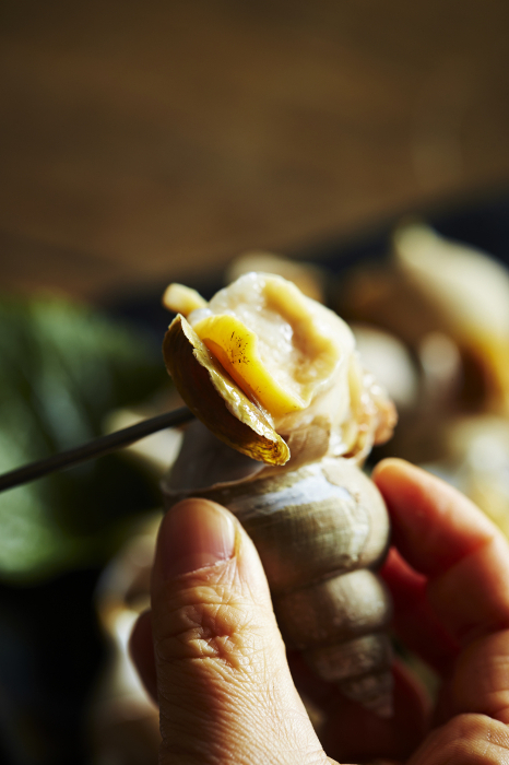 Man's hand removing white whelk meat