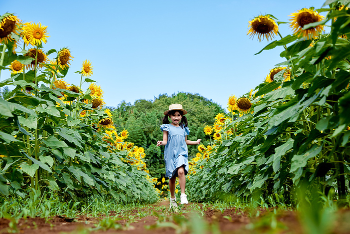 Smiling Japanese girl in a sunflower field