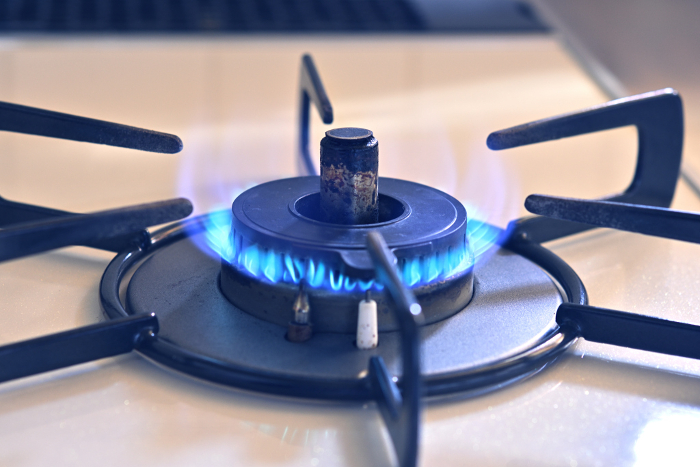 Gas stove with fire