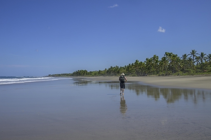 Beach walk, Junquillal, Santa Cruz, Guanacaste Province, Costa Rica, Central America