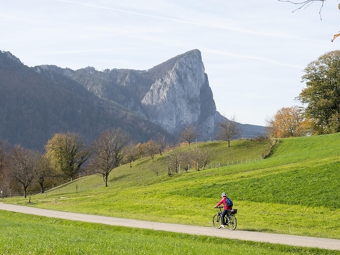 Cyclist riding on the Mondsee cycle path, autumn atmosphere at Mondsee, Drachenwand in the background, near Loibichl, Salzkammergut, Upper Austria, Austria, Europe