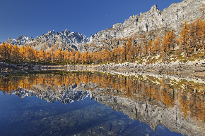 Italy Autumn reflections on the Nero lake  lago Nero , Alpe Devero, Baceno, Alpe Veglia and Alpe Devero natural park, province of Verbano Cusio Ossola, Piedmont, italy, Europe. Photo by: Alessio Giovacchini
