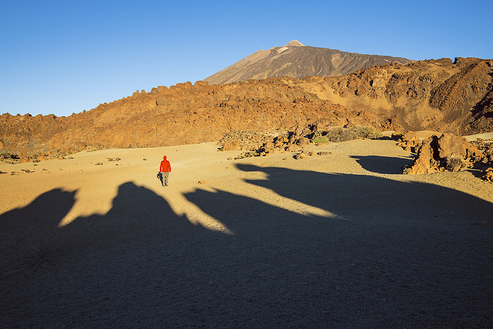 Tenerife, Spain Spain, Canary Islands, Tenerife, Teide National Park, a hiker walks in the Teide caldera  MR . Photo by: Filippo Manaigo
