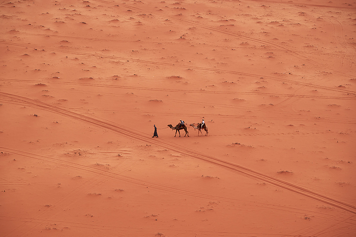 Jordan Camels in Wadi Rum desert, Jordan, Middle East, Asia. Photo by: Stefano Chiarelli