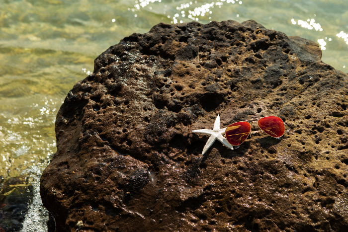 Starfish and sunglasses on the beach Summer resort image