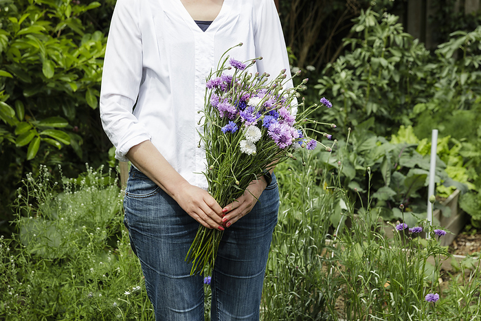 Mature woman holding cornflowers in front of green plants