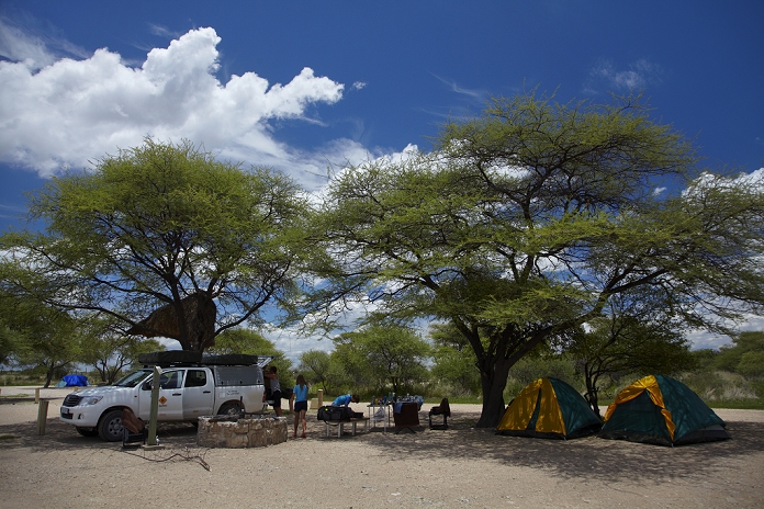 Namibia Etosha National Park Okaukuejo Rest Camp, Etosha National Park, Namibia, Africa