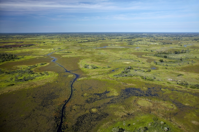 Botswana Okavango Wetlands Chanel and animal tracks, Okavango Delta, Botswana, Africa  aerial