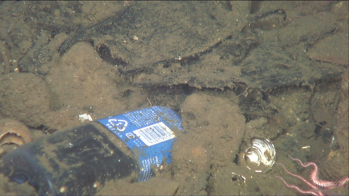  Japan Agency for Marine Earth Science and Technology JAMSTEC  Deep sea debris and spider starfish   Serpentinae Off Sanriku, Iwate Prefecture  Area B  Spider Starfish Snake tail, Submarine debris, Drinking water plastic bottle Dive  Filming  Date: 7 23 2014 