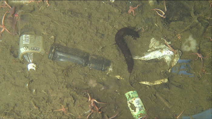  Japan Agency for Marine Earth Science and Technology JAMSTEC  Deep sea debris and sea cucumbers   Sea squirts Off the coast of Kamaishi Sea cucumber sea squirts, spider starfish snake tail, marine debris, drinking water bottles, plastic bottles, drinking water cans, artificial object s  Dive  Filming  Date: 7 12 2017 