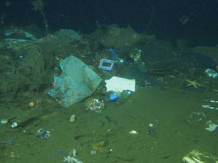  Japan Agency for Marine Earth Science and Technology  JAMSTEC   Deep sea debris and starfish   Sea star class Off the coast of Kamaishi starfish sea starfish, spider starfish snake tail, sea anemone, marine debris, cans  multiple , plastic bottles  multiple , plastic bags, packing bags, rope, man made objects  numerous  Date of dive  photo : 7 12 2017 