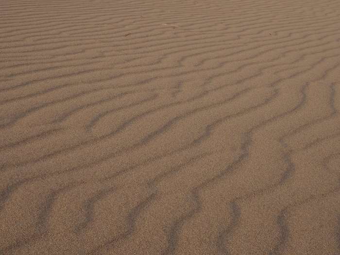 Enlarged photo of wind ripples on sand dunes