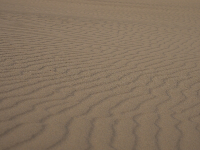 Enlarged photo of wind ripples on sand dunes