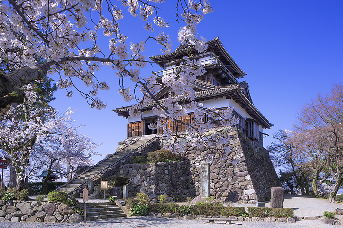 Maruoka Castle Cherry blossoms Sakai City, Fukui Prefecture 100 Great Castles of Japan No.36 The 12 existing castle towers Important Cultural Property  Edo Period  