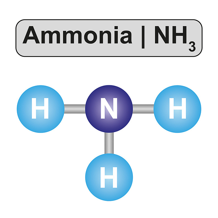 Ammonia molecule, illustration Illustration of an ammonia  NH3  molecule., by ALI DAMOUH SCIENCE PHOTO LIBRARY