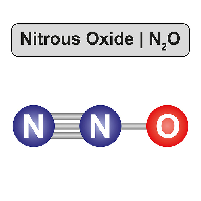 Nitrous oxide molecule, illustration Illustration of a nitrous oxide  N2O  molecule., by ALI DAMOUH SCIENCE PHOTO LIBRARY